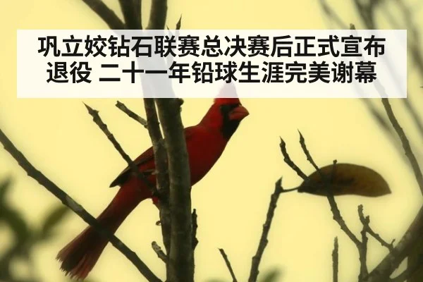 巩立姣钻石联赛总决赛后正式宣布退役 二十一年铅球生涯完美谢幕
