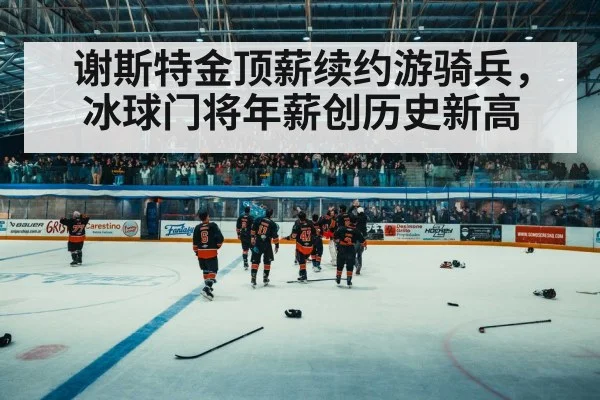 ice hockey arena crowd